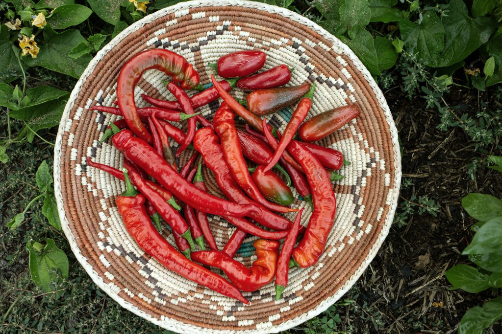 Basket of chili peppers