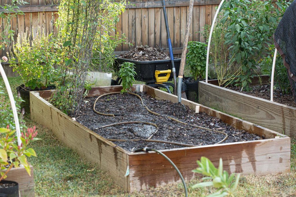 raised bed amended with compost to prepare for fall gardening
